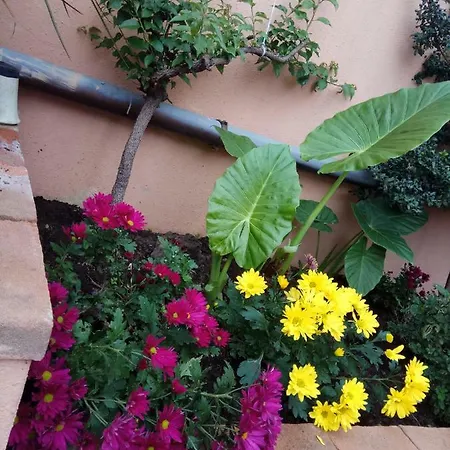 In Zona Residenziale Affittacamere *