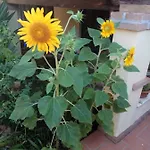 In Zona Residenziale Orosei