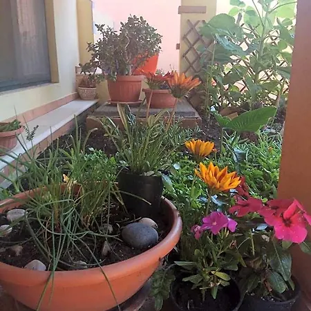 Affitto In Zona Residenziale * Orosei