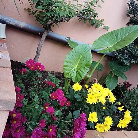 בית הארחה Affitto In Zona Residenziale *