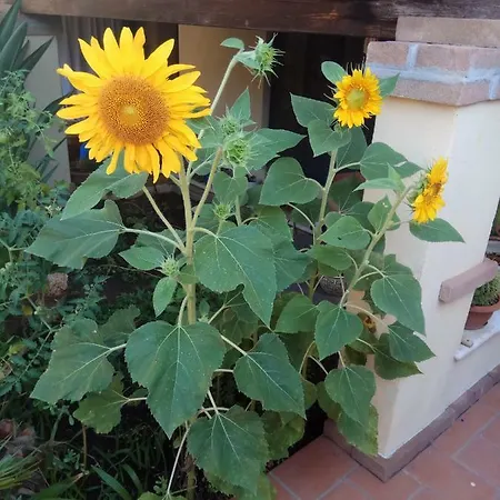 In Zona Residenziale Orosei