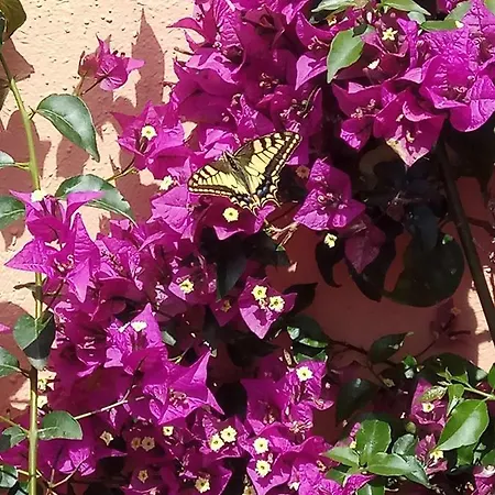 Casa de hóspedes In Zona Residenziale *