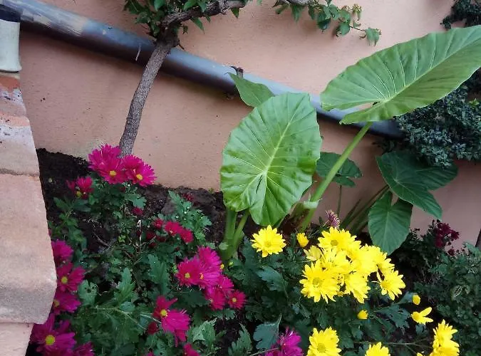 In Zona Residenziale Vendégház *